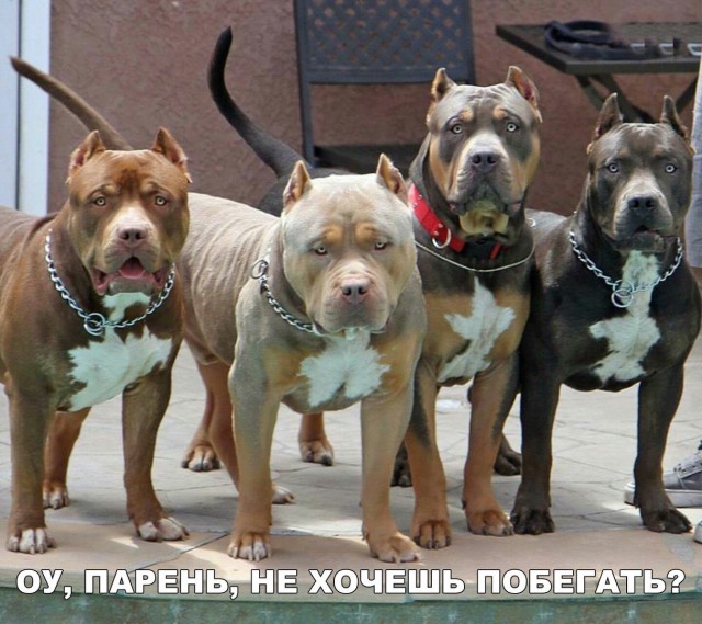 proxy.php?image=http%3A%2F%2Fs00.yaplakal.com%2Fpics%2Fpics_preview%2F7%2F9%2F3%2F11109397.jpg&hash=c4b34381042e6997775a0b14ff94cd76 | Рено Каптур клуб Россия | www.KAPTUR.club