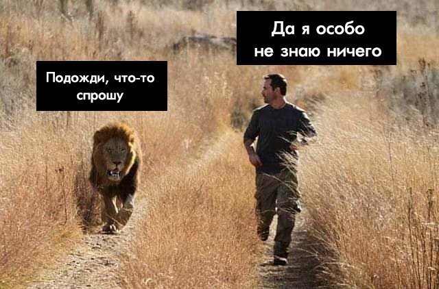 proxy.php?image=http%3A%2F%2Fs00.yaplakal.com%2Fpics%2Fpics_original%2F5%2F9%2F6%2F12370695.jpg&hash=c4ca12ef97fc622a42dfca869f5bbcbe | Рено Каптур клуб Россия | www.KAPTUR.club