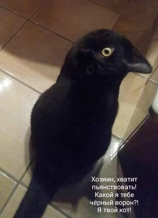 proxy.php?image=http%3A%2F%2Fs00.yaplakal.com%2Fpics%2Fpics_original%2F5%2F3%2F7%2F12285735.jpg&hash=c602ba6ac53bac530f2c3c5e0cb46317 | Рено Каптур клуб Россия | www.KAPTUR.club