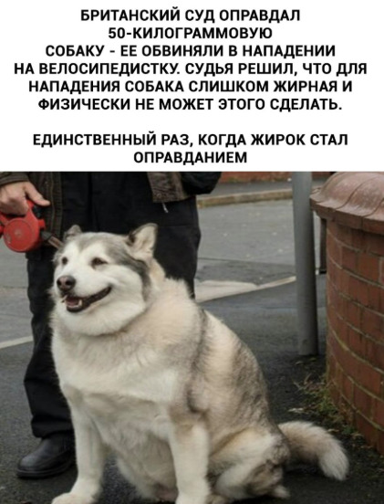 proxy.php?image=http%3A%2F%2Fs00.yaplakal.com%2Fpics%2Fpics_original%2F2%2F9%2F7%2F13316792.jpg&hash=c6a01a8e99343ee7985e89f5454f81de | Рено Каптур клуб Россия | www.KAPTUR.club