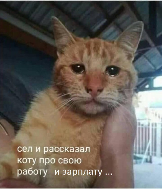 proxy.php?image=http%3A%2F%2Fs00.yaplakal.com%2Fpics%2Fpics_preview%2F5%2F1%2F6%2F12227615.jpg&hash=c6c064121231aed14d7aa24e5661e15a | Рено Каптур клуб Россия | www.KAPTUR.club