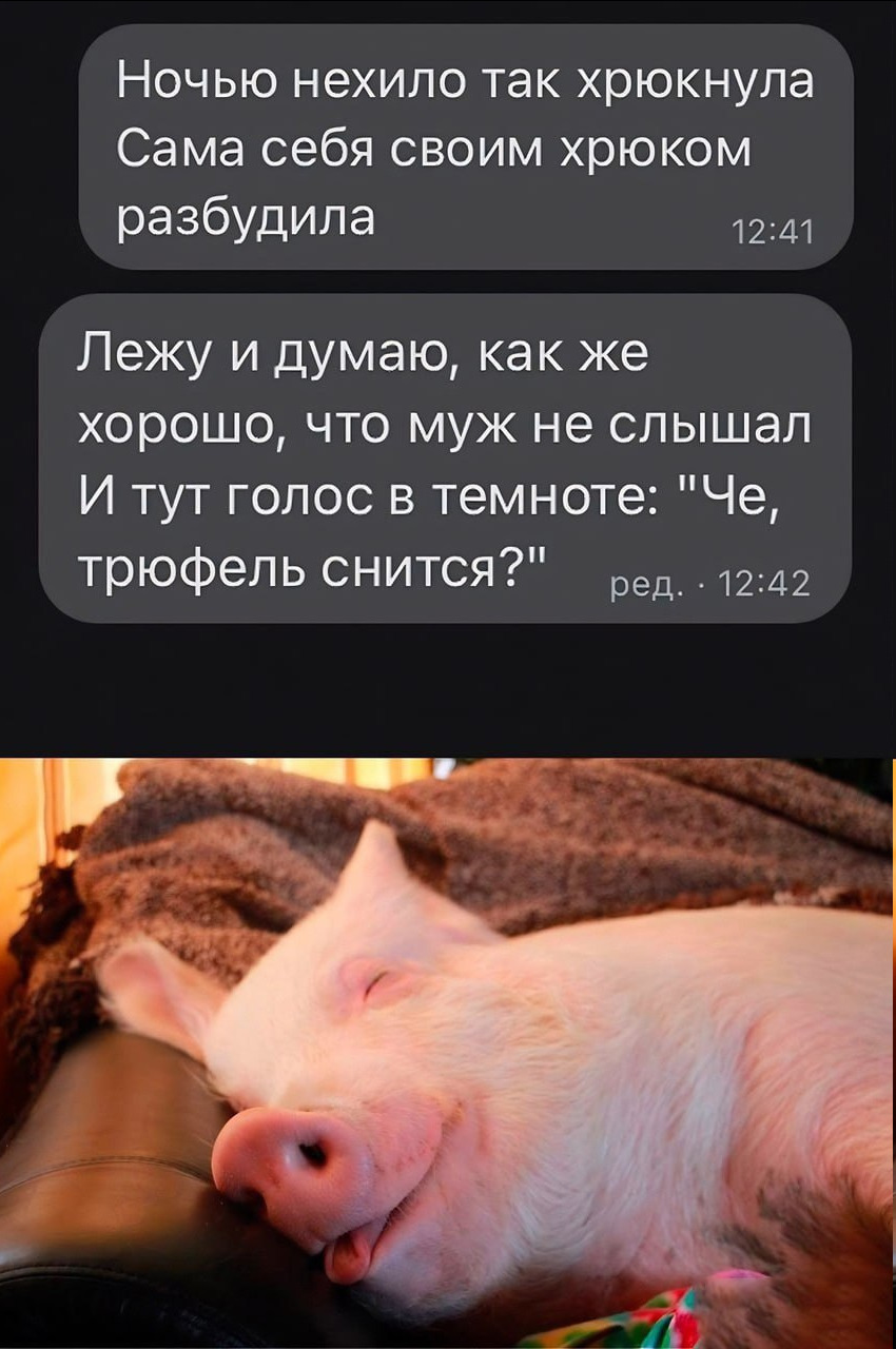 proxy.php?image=https%3A%2F%2Fi.ibb.co%2FcgpQG3w%2FIMG-20230823-WA0057.jpg&hash=c76ddc3d289f71fb74809aa9904a0ebd | Рено Каптур клуб Россия | www.KAPTUR.club