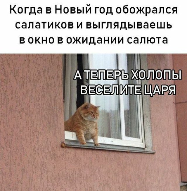 proxy.php?image=http%3A%2F%2Fs00.yaplakal.com%2Fpics%2Fpics_original%2F2%2F7%2F3%2F12378372.jpg&hash=c94d7d097e2bbcdbd9f43b4afcf7c1f0 | Рено Каптур клуб Россия | www.KAPTUR.club