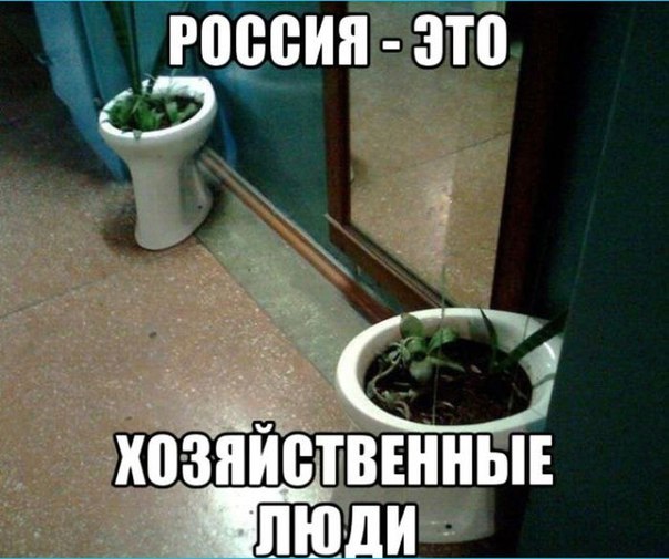 proxy.php?image=https%3A%2F%2Fxn--b1agaykvq.xn--p1ai%2Fphotopricoly%2F1%2Fs7662_1549396588.jpg&hash=c9970aa74ddd4ded7efac4dfc8ab1b06 | Рено Каптур клуб Россия | www.KAPTUR.club