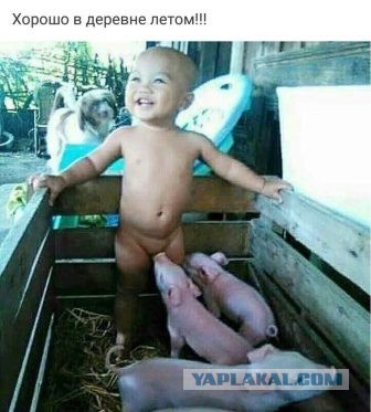 proxy.php?image=http%3A%2F%2Fs00.yaplakal.com%2Fpics%2Fpics_original%2F3%2F3%2F4%2F11453433.jpg&hash=c9e7fcc6c66a5f88e9a94d5ce4471846 | Рено Каптур клуб Россия | www.KAPTUR.club