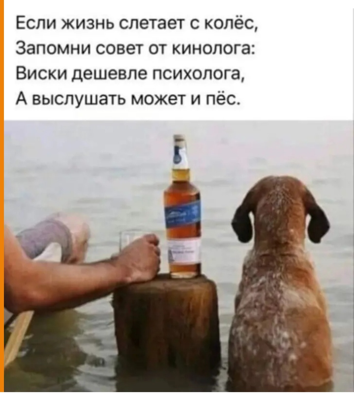 proxy.php?image=https%3A%2F%2Fi.ibb.co%2FccG3P3k%2FIMG-20230318-WA0058.jpg&hash=cd48a7bd12f6366afe7502381bcbf43c | Рено Каптур клуб Россия | www.KAPTUR.club