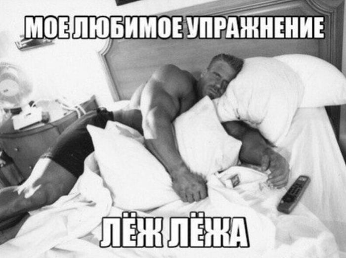 proxy.php?image=https%3A%2F%2Fbugaga.ru%2Fuploads%2Fposts%2F2015-09%2F1441789324_kartinki-21.jpg&hash=cdd798d18e6250888c1a004e987db662 | Рено Каптур клуб Россия | www.KAPTUR.club