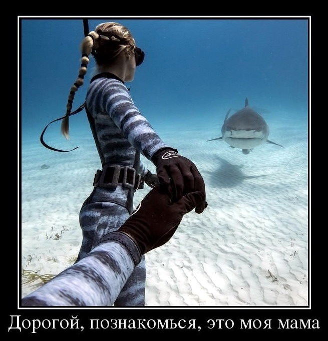 proxy.php?image=http%3A%2F%2Fdobrosos.ru%2Fwp-content%2Fuploads%2F2018%2F04%2Fnovyie-foto-prikolyi-02.jpg&hash=d0cd5db728714b5518692bf538bee549 | Рено Каптур клуб Россия | www.KAPTUR.club