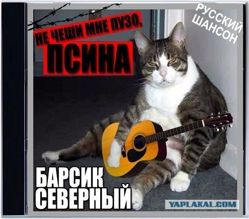 proxy.php?image=http%3A%2F%2Fs00.yaplakal.com%2Fpics%2Fpics_original%2F9%2F3%2F4%2F11248439.jpg&hash=d0ff16ab9cf21dc49510c74d0ac6fa31 | Рено Каптур клуб Россия | www.KAPTUR.club