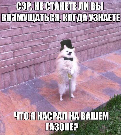 proxy.php?image=http%3A%2F%2Fs00.yaplakal.com%2Fpics%2Fpics_original%2F8%2F7%2F6%2F12301678.jpg&hash=d2cfaad3653cab232a01dce4ac9d9f8e | Рено Каптур клуб Россия | www.KAPTUR.club