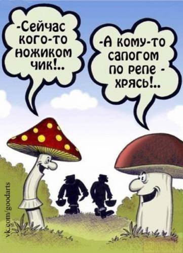 proxy.php?image=https%3A%2F%2Fxn--b1agaykvq.xn--p1ai%2Fphotopricoly%2F2%2F372666318.jpg&hash=d3972bd2369fd64f74eb99002860ea55 | Рено Каптур клуб Россия | www.KAPTUR.club