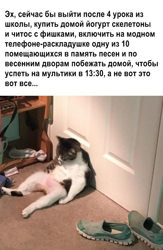 proxy.php?image=http%3A%2F%2Fs00.yaplakal.com%2Fpics%2Fpics_original%2F2%2F8%2F6%2F12917682.jpg&hash=d4895535ee7b35828343a8979ba258a5 | Рено Каптур клуб Россия | www.KAPTUR.club