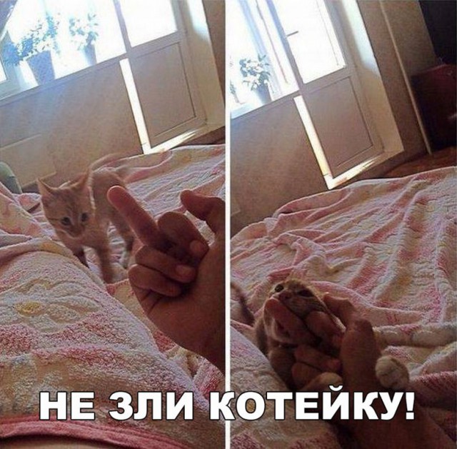 proxy.php?image=http%3A%2F%2Fs00.yaplakal.com%2Fpics%2Fpics_preview%2F7%2F7%2F3%2F11109377.jpg&hash=d75ca06228d7e4b058a4392cf119aff9 | Рено Каптур клуб Россия | www.KAPTUR.club
