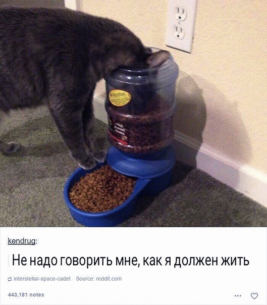 proxy.php?image=https%3A%2F%2Fsun1-25.userapi.com%2Fc845218%2Fv845218960%2F1f4436%2FWUfq9kSVvpM.jpg&hash=d7d734ac0136e2af068784e9c2620b41 | Рено Каптур клуб Россия | www.KAPTUR.club