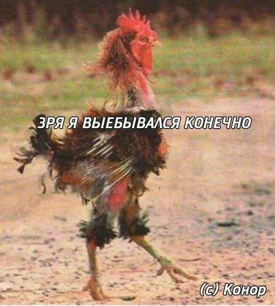 proxy.php?image=http%3A%2F%2Fs00.yaplakal.com%2Fpics%2Fpics_original%2F9%2F4%2F5%2F12227549.jpg&hash=d7e31ff639b83c2f1c82ec5d9b11d949 | Рено Каптур клуб Россия | www.KAPTUR.club