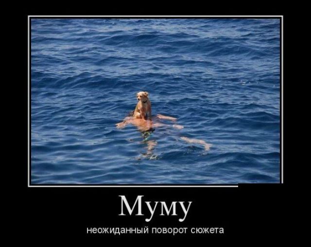 proxy.php?image=http%3A%2F%2Fs00.yaplakal.com%2Fpics%2Fpics_original%2F2%2F7%2F7%2F11527772.jpg&hash=da28dffe5678a0cb83675ffe28105f4d | Рено Каптур клуб Россия | www.KAPTUR.club
