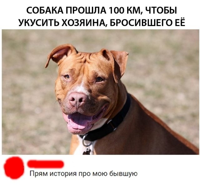 proxy.php?image=http%3A%2F%2Fs00.yaplakal.com%2Fpics%2Fpics_original%2F3%2F4%2F7%2F12310743.jpg&hash=da908cf873f3ba6df2379e3d7fd95822 | Рено Каптур клуб Россия | www.KAPTUR.club