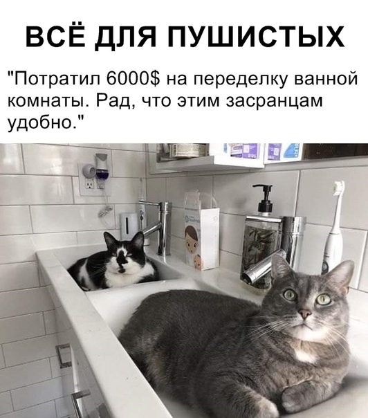 proxy.php?image=http%3A%2F%2Fs00.yaplakal.com%2Fpics%2Fpics_original%2F0%2F7%2F4%2F13534470.jpg&hash=dafa9939c6bf70fd8df0a3952263be58 | Рено Каптур клуб Россия | www.KAPTUR.club