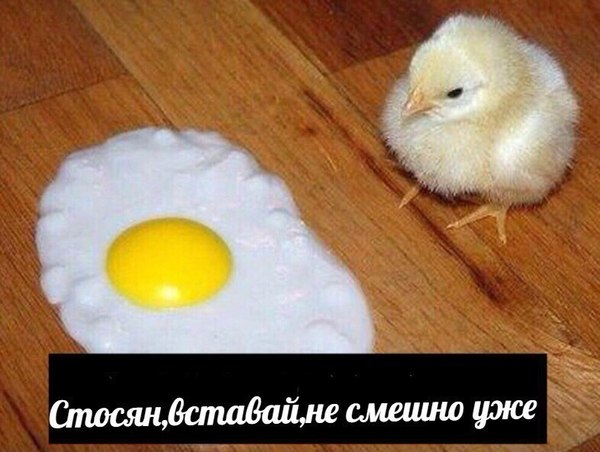 proxy.php?image=http%3A%2F%2Fs00.yaplakal.com%2Fpics%2Fpics_original%2F5%2F9%2F8%2F12253895.jpg&hash=db25d3d42d6d68e959115aa5fb21075f | Рено Каптур клуб Россия | www.KAPTUR.club