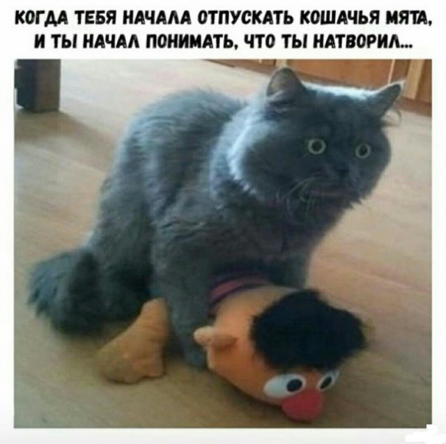 proxy.php?image=http%3A%2F%2Fs00.yaplakal.com%2Fpics%2Fpics_preview%2F5%2F5%2F1%2F12334155.jpg&hash=db466e229312931e05b88206679c46ae | Рено Каптур клуб Россия | www.KAPTUR.club