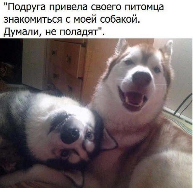 proxy.php?image=http%3A%2F%2Fs00.yaplakal.com%2Fpics%2Fpics_preview%2F0%2F9%2F5%2F11110590.jpg&hash=db5d2f377dd6de2a4d34fdd5d0f6182e | Рено Каптур клуб Россия | www.KAPTUR.club
