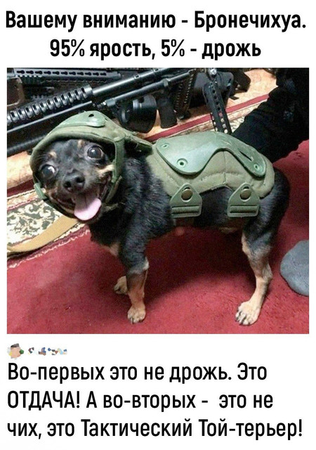 proxy.php?image=https%3A%2F%2Fi.ibb.co%2F3C3T5Zv%2FIMG-20240524-WA0012.jpg&hash=dcd562e6e98644a75424e190141eb759 | Рено Каптур клуб Россия | www.KAPTUR.club