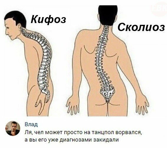 proxy.php?image=https%3A%2F%2Fcdn.fishki.net%2Fupload%2Fpost%2F2019%2F09%2F09%2F3080725%2F2019-05-13-08-07-056.jpg&hash=dd8643344aa364592d51230a408f54c6 | Рено Каптур клуб Россия | www.KAPTUR.club