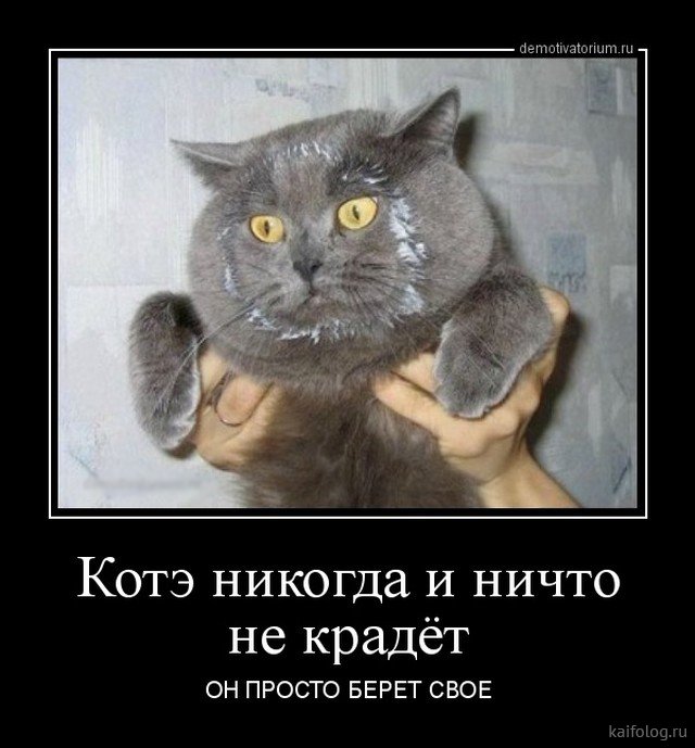 proxy.php?image=http%3A%2F%2Fkaifolog.ru%2Fuploads%2Fposts%2F2018-04%2F1524572779_014_3.jpg&hash=ddc687b22f19f5c304af11cb0440dda5 | Рено Каптур клуб Россия | www.KAPTUR.club