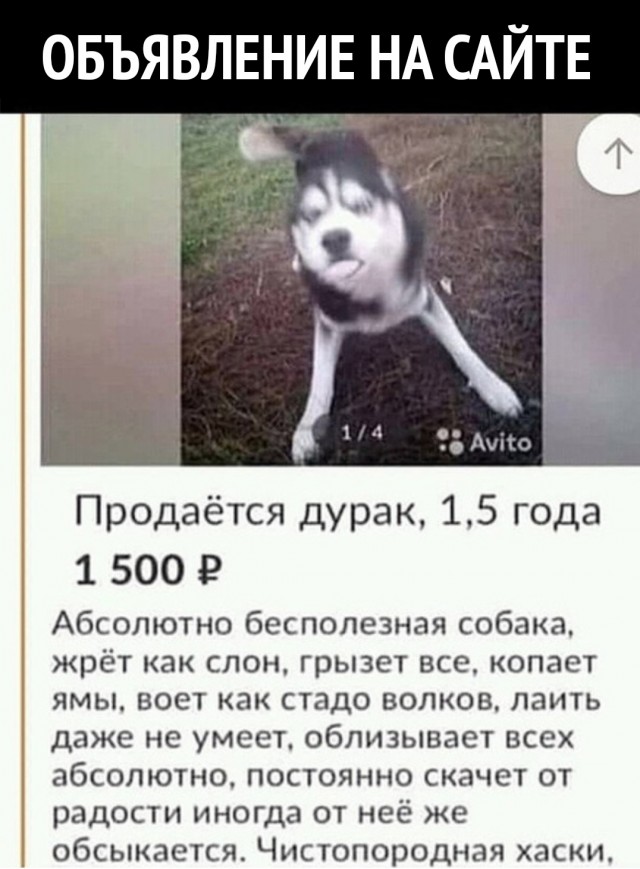 proxy.php?image=http%3A%2F%2Fs00.yaplakal.com%2Fpics%2Fpics_preview%2F9%2F3%2F4%2F13346439.jpg&hash=e030199da1bd0d2a4b9b76296b60c4d7 | Рено Каптур клуб Россия | www.KAPTUR.club