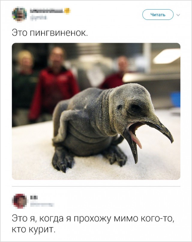 proxy.php?image=http%3A%2F%2Fs00.yaplakal.com%2Fpics%2Fpics_preview%2F7%2F9%2F1%2F12764197.jpg&hash=e2d7d680c922971762be075ddf75a2f5 | Рено Каптур клуб Россия | www.KAPTUR.club