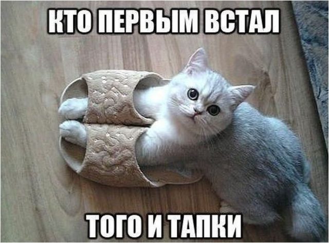 proxy.php?image=https%3A%2F%2Fbipbap.ru%2Fwp-content%2Fuploads%2F2018%2F02%2F6-9-640x473.jpg&hash=e3531209564f6b843496d71b3e9caed6 | Рено Каптур клуб Россия | www.KAPTUR.club