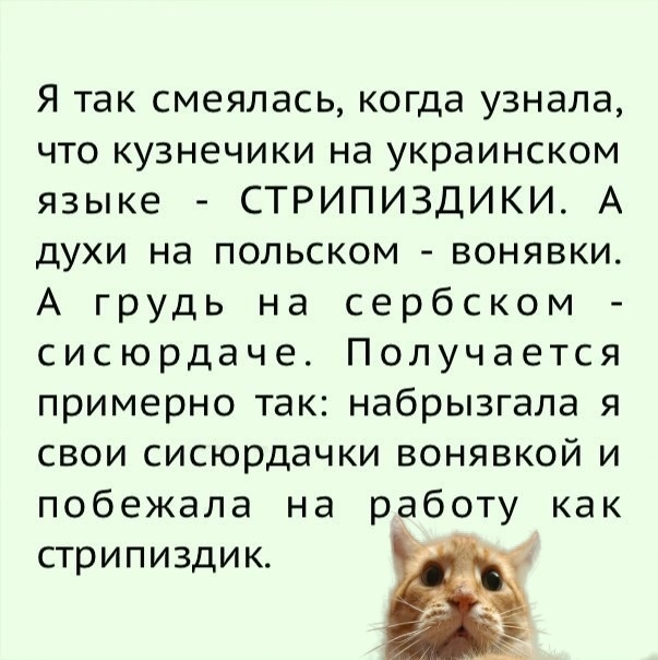 proxy.php?image=https%3A%2F%2Fpp.userapi.com%2Fc847122%2Fv847122344%2F15e2a7%2FSzCwBgPELbI.jpg&hash=e4249424d2cc296483b5634e58246e6d | Рено Каптур клуб Россия | www.KAPTUR.club