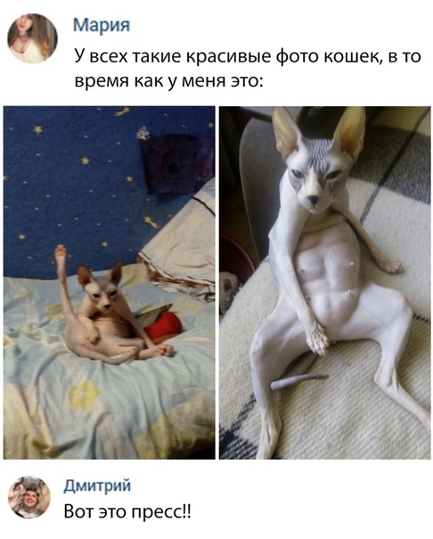 proxy.php?image=http%3A%2F%2Fs00.yaplakal.com%2Fpics%2Fpics_original%2F4%2F2%2F3%2F12306324.jpg&hash=e438d911dc4de1ad6cbb075ae9d63f55 | Рено Каптур клуб Россия | www.KAPTUR.club