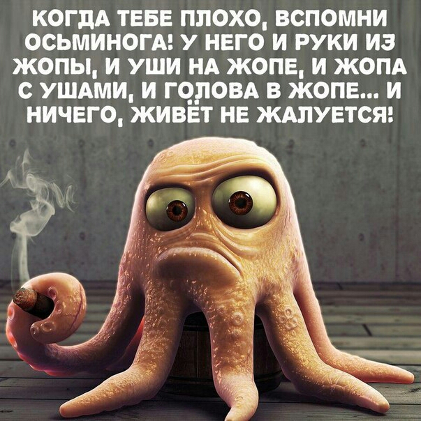 proxy.php?image=http%3A%2F%2Fs00.yaplakal.com%2Fpics%2Fpics_original%2F6%2F7%2F2%2F11468276.jpg&hash=e49674fe12fe825fba4dc3cab5146375 | Рено Каптур клуб Россия | www.KAPTUR.club