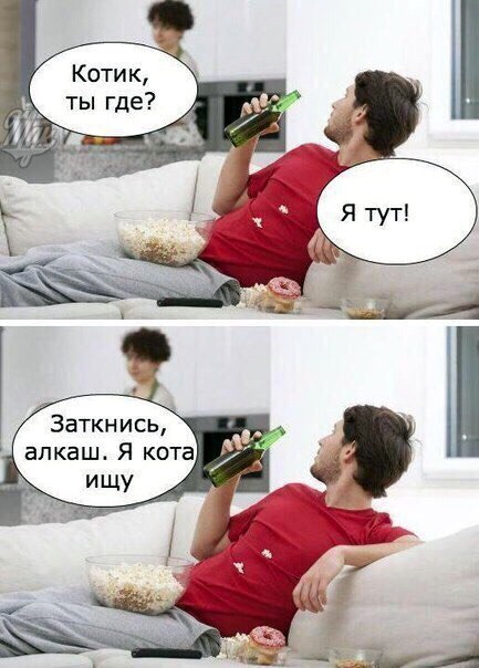 proxy.php?image=http%3A%2F%2Fdobrosos.ru%2Fwp-content%2Fuploads%2F2019%2F11%2Finteresnye-foto-prikoly-40.jpg&hash=e4d51b3e178c185142cb2fae2ad7afe6 | Рено Каптур клуб Россия | www.KAPTUR.club