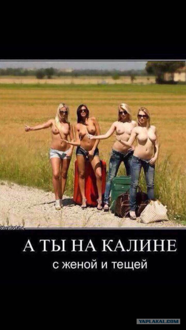 proxy.php?image=http%3A%2F%2Fs00.yaplakal.com%2Fpics%2Fpics_preview%2F4%2F8%2F5%2F11438584.jpg&hash=e8ece2fff825b8b11e14b8e39ecc6f4c | Рено Каптур клуб Россия | www.KAPTUR.club
