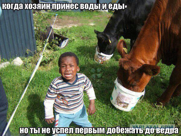 proxy.php?image=http%3A%2F%2Fs00.yaplakal.com%2Fpics%2Fpics_original%2F9%2F0%2F5%2F12218509.jpg&hash=e968c3ecf15ceea036ad904c058392d1 | Рено Каптур клуб Россия | www.KAPTUR.club