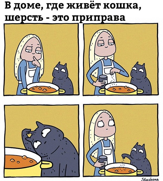 proxy.php?image=http%3A%2F%2Fdobrosos.ru%2Fwp-content%2Fuploads%2F2020%2F03%2Fprikoly-s-nadpisyami-23.jpg&hash=e9c75af39f4af5170b89725397601570 | Рено Каптур клуб Россия | www.KAPTUR.club