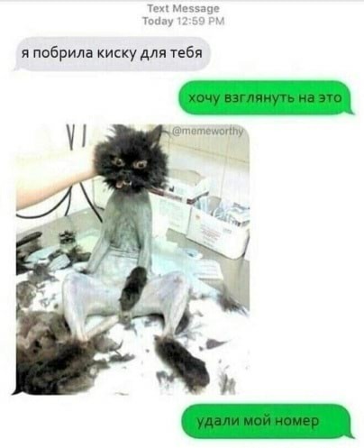 proxy.php?image=https%3A%2F%2Fs00.yaplakal.com%2Fpics%2Fpics_original%2F4%2F3%2F1%2F14646134.jpg&hash=eacdf2a1c1d526825bbaec2a16e26119 | Рено Каптур клуб Россия | www.KAPTUR.club