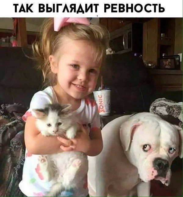 proxy.php?image=http%3A%2F%2Fdobrosos.ru%2Fwp-content%2Fuploads%2F2018%2F04%2Ffoto-prikolyi-02.jpg&hash=eb8696b0ca6208436dbd6e20a43a296b | Рено Каптур клуб Россия | www.KAPTUR.club