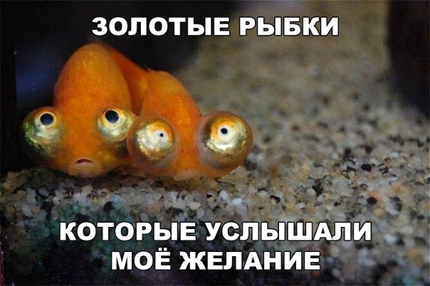 proxy.php?image=http%3A%2F%2Fs00.yaplakal.com%2Fpics%2Fpics_original%2F8%2F4%2F1%2F11468148.jpg&hash=eca0c7880a724267ff45fd49bfccdd1c | Рено Каптур клуб Россия | www.KAPTUR.club
