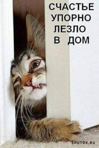 proxy.php?image=https%3A%2F%2Fshutok.ru%2Fuploads%2Fposts%2F2020-11%2F1604781367_14903510.jpg&hash=f01a8d9bae9dd2513201c856ce1ba776 | Рено Каптур клуб Россия | www.KAPTUR.club