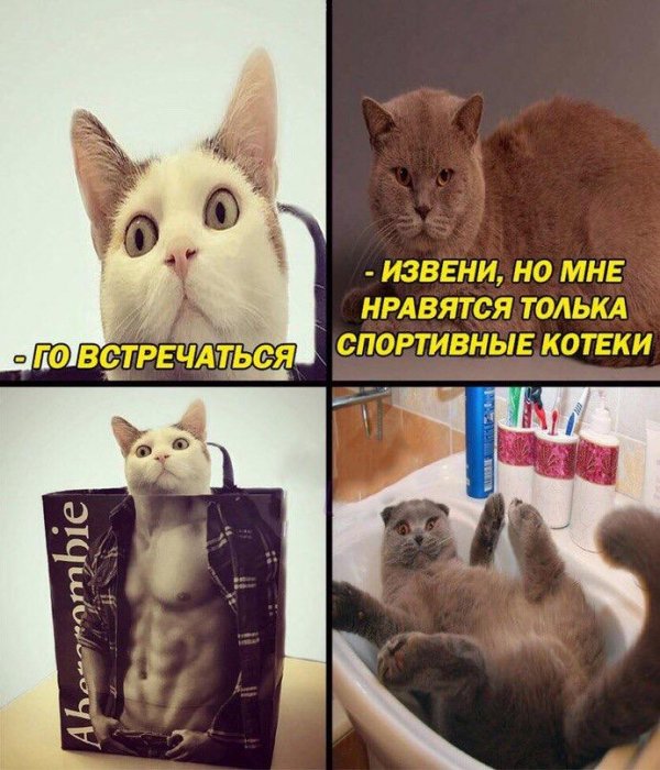 proxy.php?image=http%3A%2F%2Fs00.yaplakal.com%2Fpics%2Fpics_original%2F9%2F6%2F6%2F11006669.jpg&hash=f15f4f1fcbc3b4a1eb2695047b79b13e | Рено Каптур клуб Россия | www.KAPTUR.club