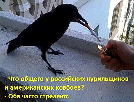 proxy.php?image=http%3A%2F%2Fdobrosos.ru%2Fwp-content%2Fuploads%2F2019%2F04%2Fsmeshnye-nadpisi-prikoly-nadpisyami-foto-013.jpg&hash=f56f186fc329d4b8a66a3879c1061db7 | Рено Каптур клуб Россия | www.KAPTUR.club