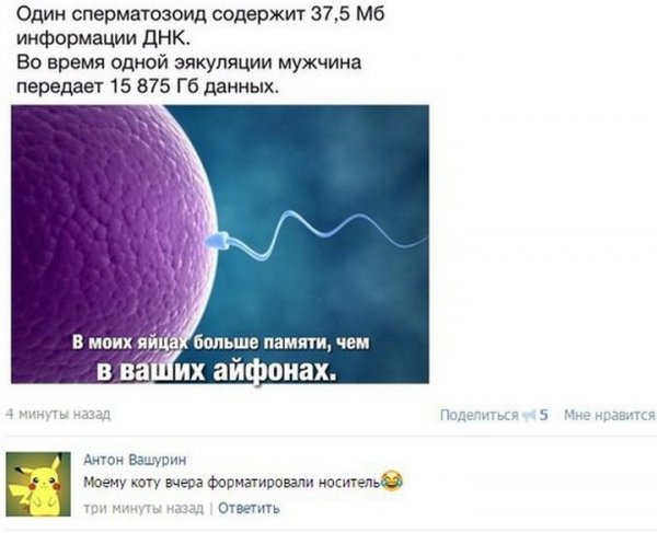 proxy.php?image=http%3A%2F%2Fs00.yaplakal.com%2Fpics%2Fpics_original%2F7%2F4%2F6%2F12289647.jpg&hash=f5a1ac377e5838d188169f9d74ae9e8b | Рено Каптур клуб Россия | www.KAPTUR.club