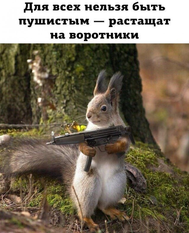 proxy.php?image=http%3A%2F%2Fs00.yaplakal.com%2Fpics%2Fpics_preview%2F2%2F7%2F1%2F13680172.jpg&hash=f62a9b1da7ca5c774c67fafbf45631b6 | Рено Каптур клуб Россия | www.KAPTUR.club