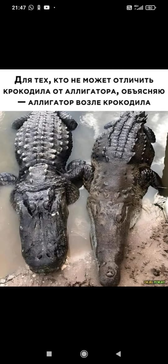 proxy.php?image=https%3A%2F%2Fi.ibb.co%2FBfz5YK1%2FIMG-20230718-WA0065.jpg&hash=f63f7325119a50dfa30eb88a9bcbc2c7 | Рено Каптур клуб Россия | www.KAPTUR.club
