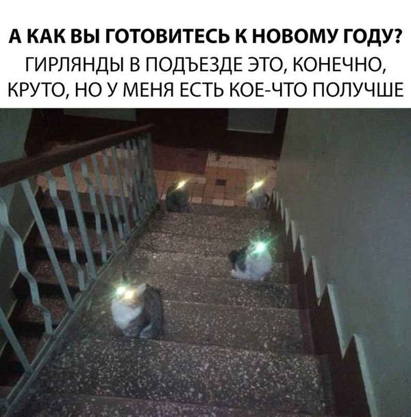proxy.php?image=http%3A%2F%2Fs00.yaplakal.com%2Fpics%2Fpics_original%2F8%2F5%2F3%2F12289358.jpg&hash=f64bf89406b4d3b62ae80c64e9e6fbb3 | Рено Каптур клуб Россия | www.KAPTUR.club