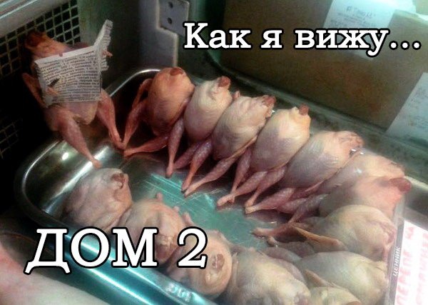 proxy.php?image=http%3A%2F%2Fdobrosos.ru%2Fwp-content%2Fuploads%2F2019%2F04%2Fsmeshnye-nadpisi-prikoly-nadpisyami-foto-058.jpg&hash=f7b0e2d1c853287eaf8eaa811036d010 | Рено Каптур клуб Россия | www.KAPTUR.club