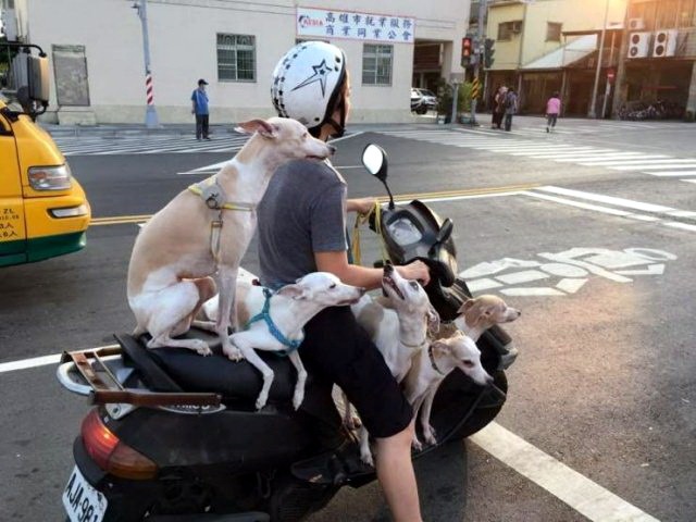 proxy.php?image=http%3A%2F%2Fdobrosos.ru%2Fwp-content%2Fuploads%2F2019%2F07%2Ffoto-prikoly-funny-humor-Picdump-14.jpg&hash=f8ebc5f9af6209efe5988a7100b15c94 | Рено Каптур клуб Россия | www.KAPTUR.club